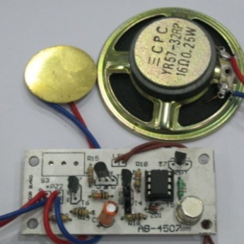 Electronic door guard